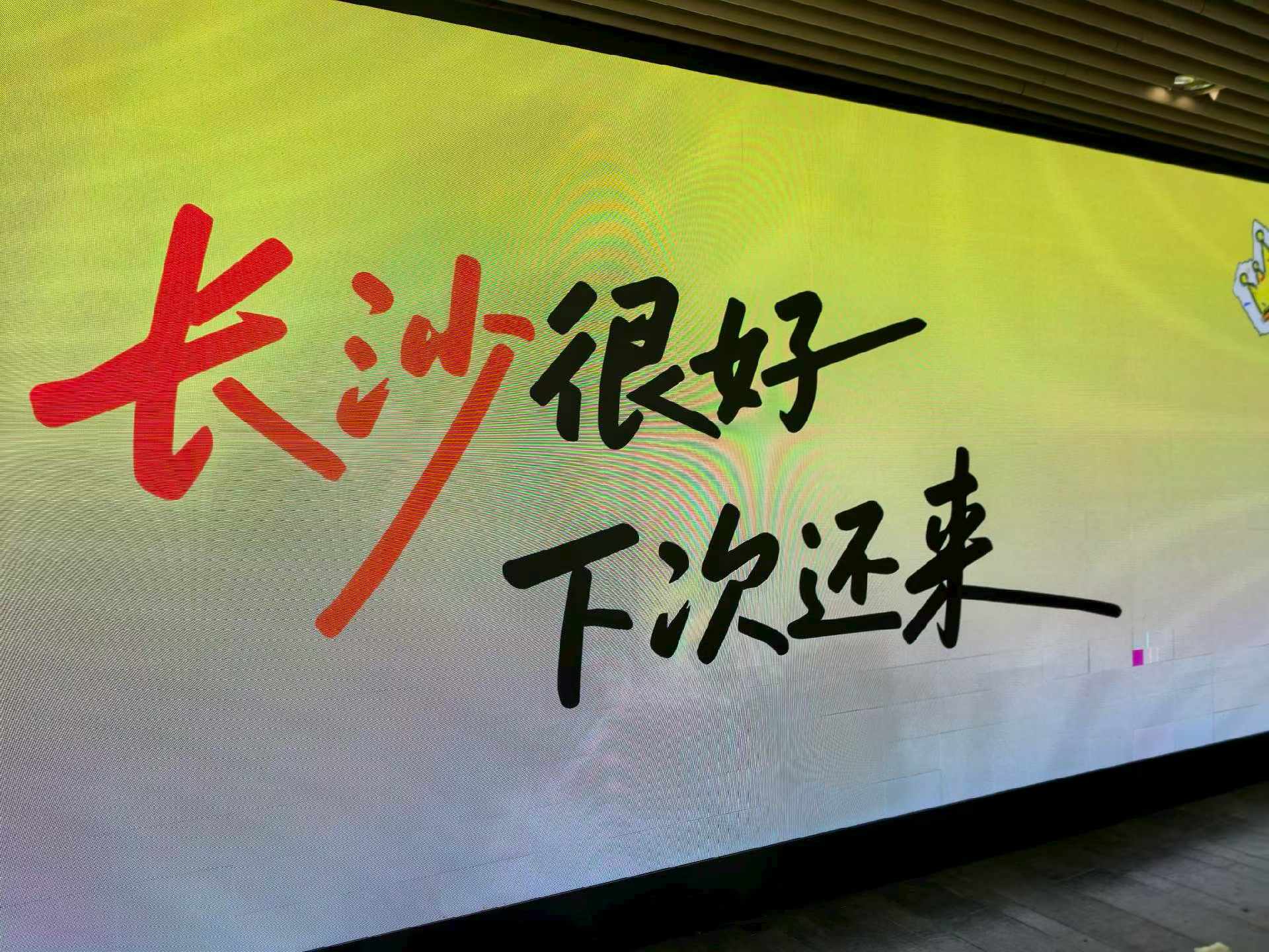 ChinaSoft